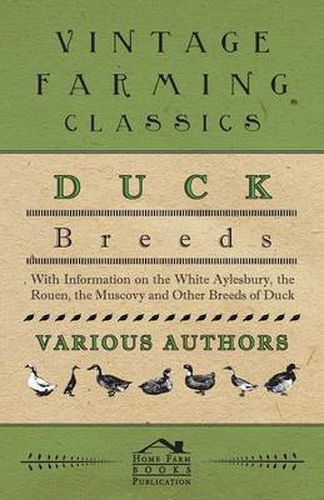 Cover image for Duck Breeds - With Information on The White Aylesbury, The Rouen, The Muscovy and Other Breeds of Duck