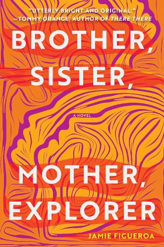 Cover image for Brother, Sister, Mother, Explorer: A Novel