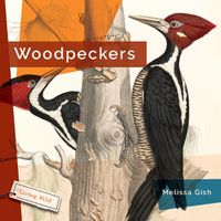 Cover image for Woodpeckers