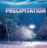 Cover image for Precipitation