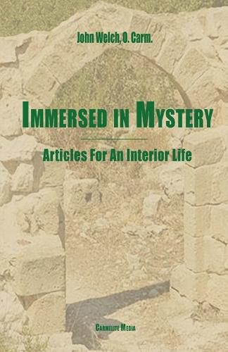 Cover image for Immersed in Mystery