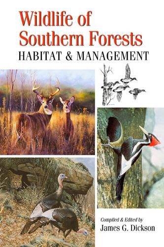 Cover image for Wildlife of Southern Forests: Habitat & Management