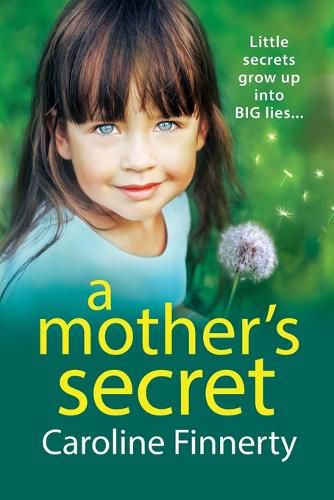 Cover image for A Mother's Secret