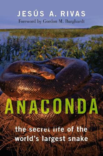 Cover image for Anaconda: The Secret Life of the World's Largest Snake