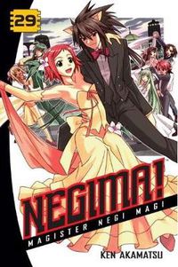 Cover image for Negima! 29: Magister Negi Magi