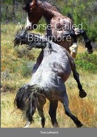 Cover image for A Horse Called Baltimore