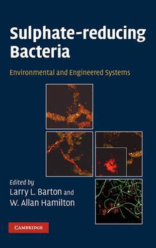 Sulphate-Reducing Bacteria: Environmental and Engineered Systems