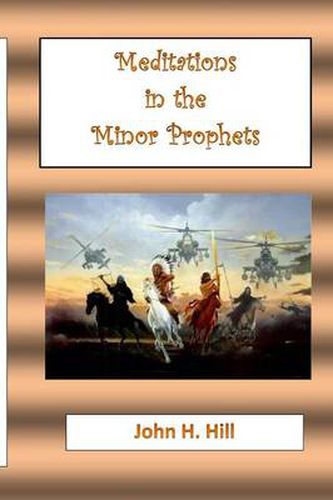 Cover image for Meditations in the Minor Prophets