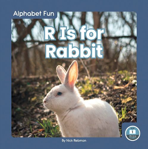 Cover image for Alphabet Fun: R is for Rabbit