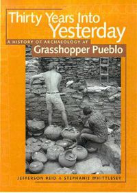 Cover image for THIRTY YEARS INTO YESTERDAY