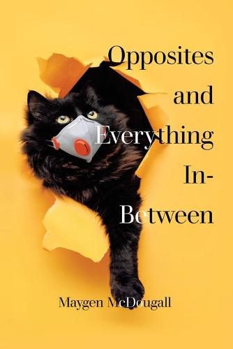 Cover image for Opposites and Everything In-Between