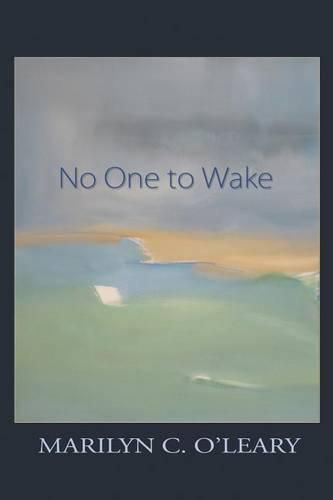 Cover image for No One to Wake