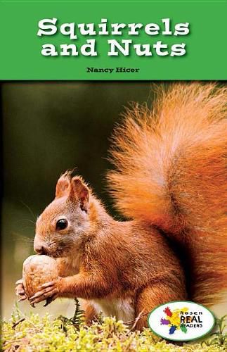 Cover image for Squirrels and Nuts