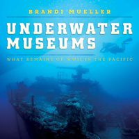 Cover image for Underwater Museums