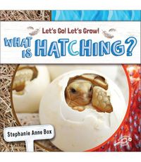 Cover image for What Is Hatching?