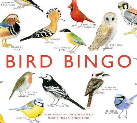 Cover image for Bird Bingo