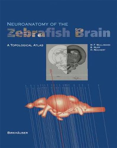 Cover image for Neuroanatomy of the Zebrafish Brain: A Topological Atlas