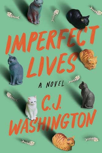 Cover image for Imperfect Lives