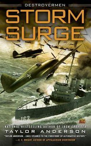 Cover image for Storm Surge