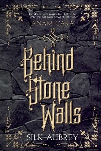 Cover image for Behind Stone Walls