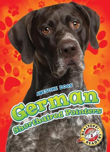 German Shorthaired Pointers