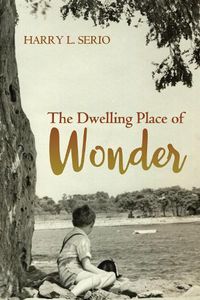 Cover image for The Dwelling Place of Wonder