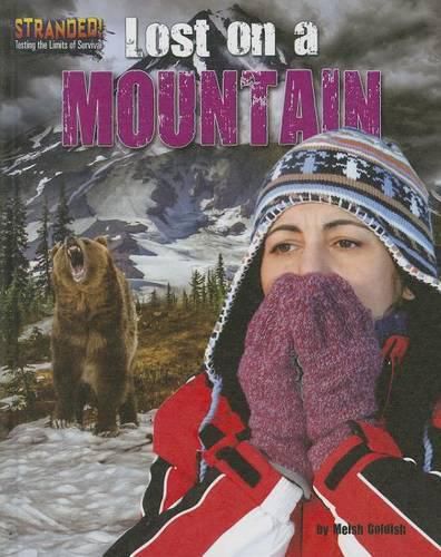 Cover image for Lost on a Mountain