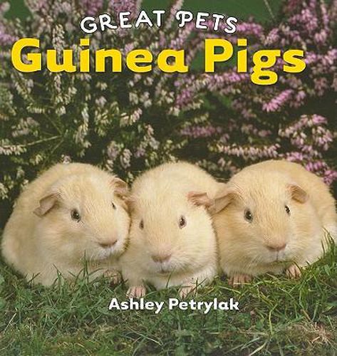 Cover image for Guinea Pigs