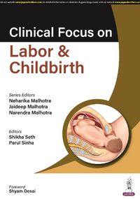 Cover image for Clinical Focus on Labor & Childbirth