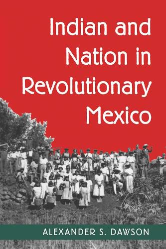 Cover image for Indian and Nation in Revolutionary Mexico