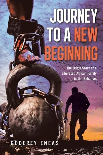 Cover image for Journey to a New Beginning