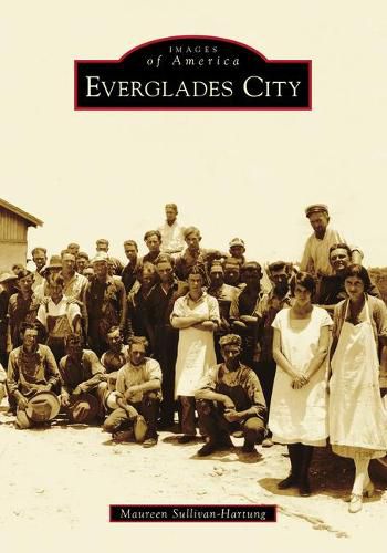 Cover image for Everglades City