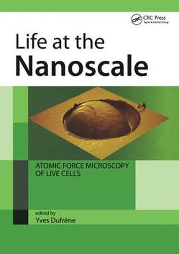 Life at the Nanoscale: Atomic Force Microscopy of Live Cells