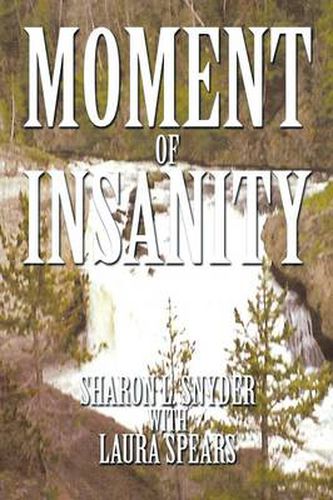 Cover image for Moment of Insanity