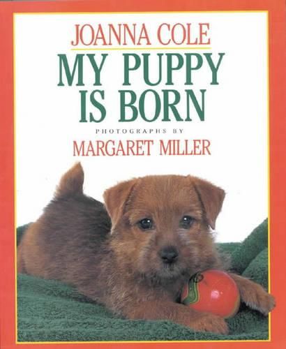 Cover image for My Puppy is Born