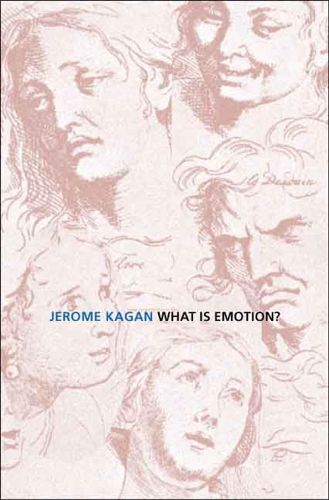 Cover image for What Is Emotion?: History, Measures, and Meanings