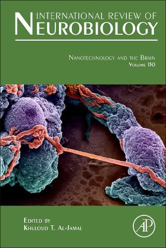 Cover image for Nanotechnology and the Brain