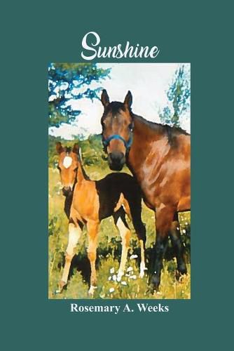 Cover image for Sunshine