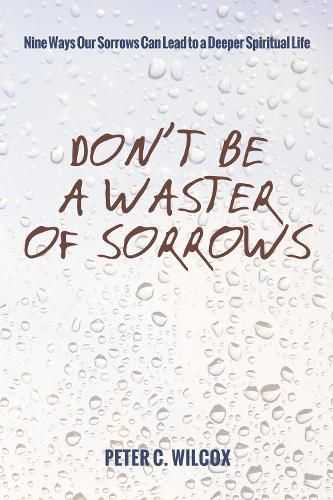 Don't Be a Waster of Sorrows: Nine Ways Our Sorrows Can Lead to a Deeper Spiritual Life