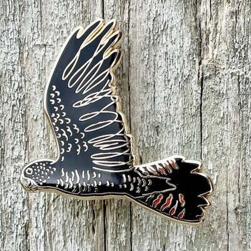 Cover image for Red-tailed Black Cockatoo in Flight - Enamel Pin