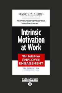 Cover image for Intrinsic Motivation at Work