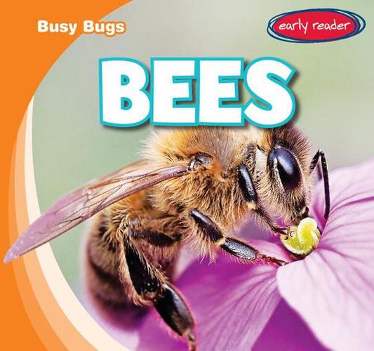 Cover image for Bees