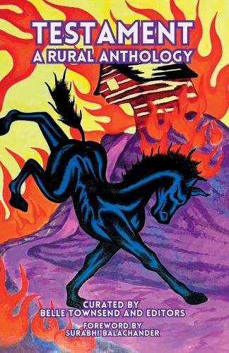 Cover image for Testament