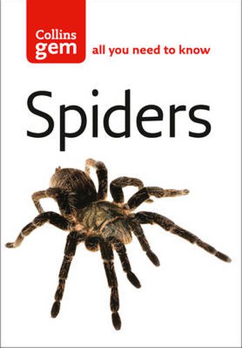 Cover image for Spiders