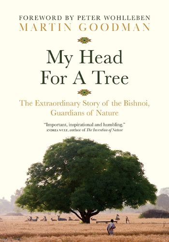 Cover image for My Head for a Tree