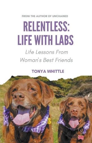 Cover image for Relentless