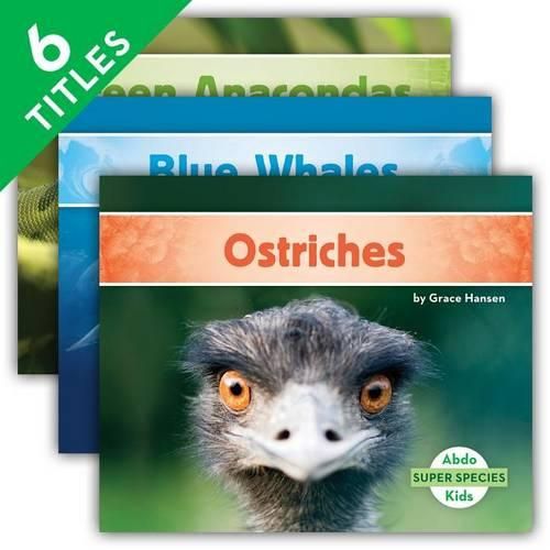 Cover image for Super Species