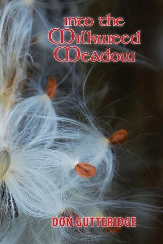 Cover image for Into the Milkweed Meadow