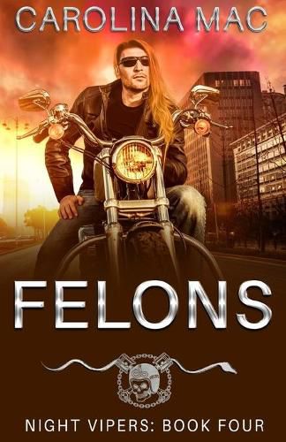 Cover image for Felons