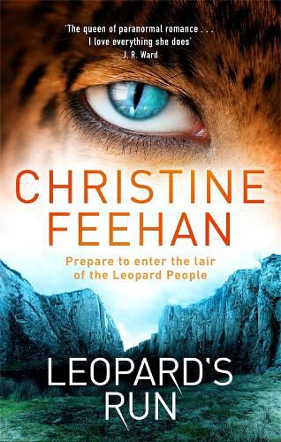 Cover image for Leopard's Run